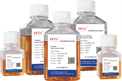 Fetal Bovine Serum Ultra-low EndotoxinZ7180FBS-500