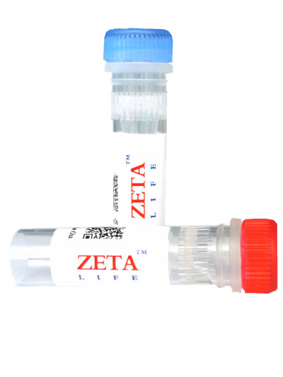 Mitochondrial membrane potential kit (JC-10)