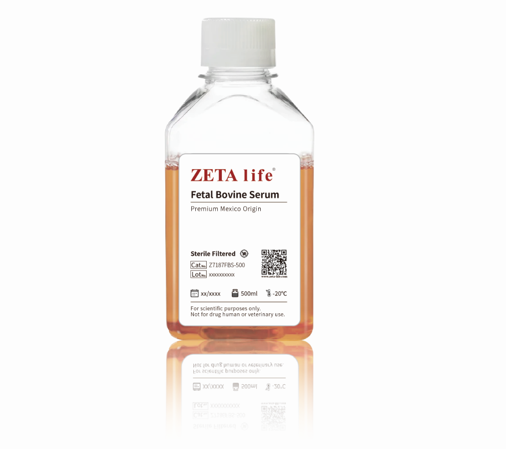 Fetal Bovine Serum